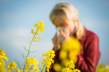 NATURAL REMEDIES FOR HAY FEVER
